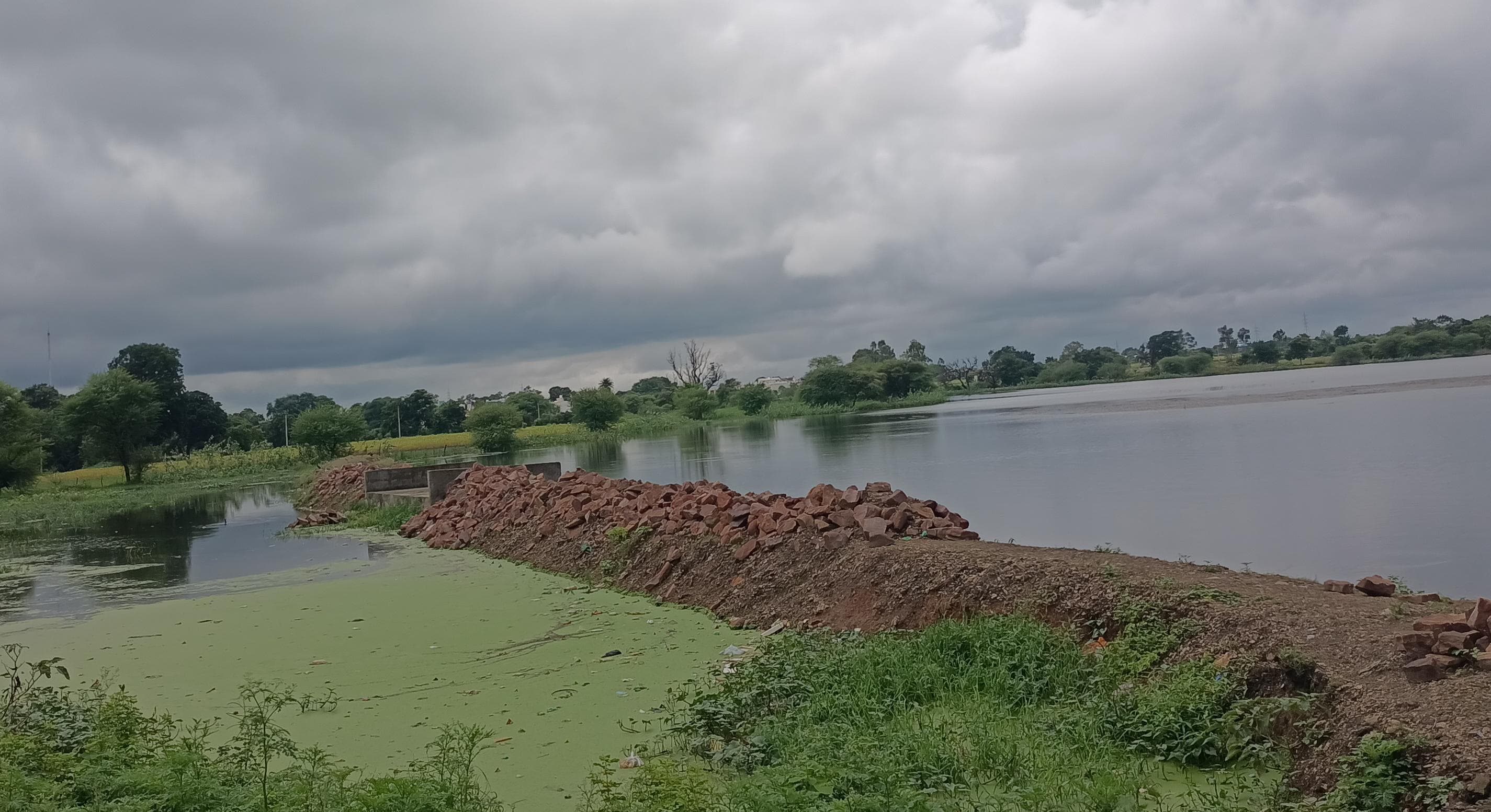 रियासत कालीन तालाब पर भूमाफियों की नजर...हर साल सिकुड़ता जा रहा तालाब का रकबा  विकास कार्यों के नाम पर अब तक लाखों रूपये की राशि खर्च लेकिन नतीजा शून्य
